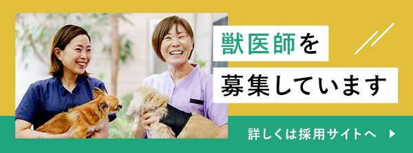 獣医師を募集しています