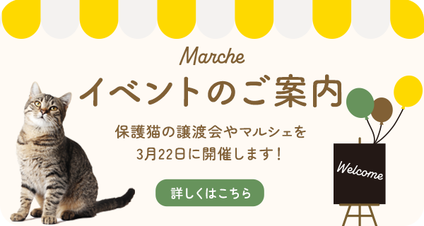 イベントを開催します