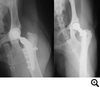 股間説疾患の治療法